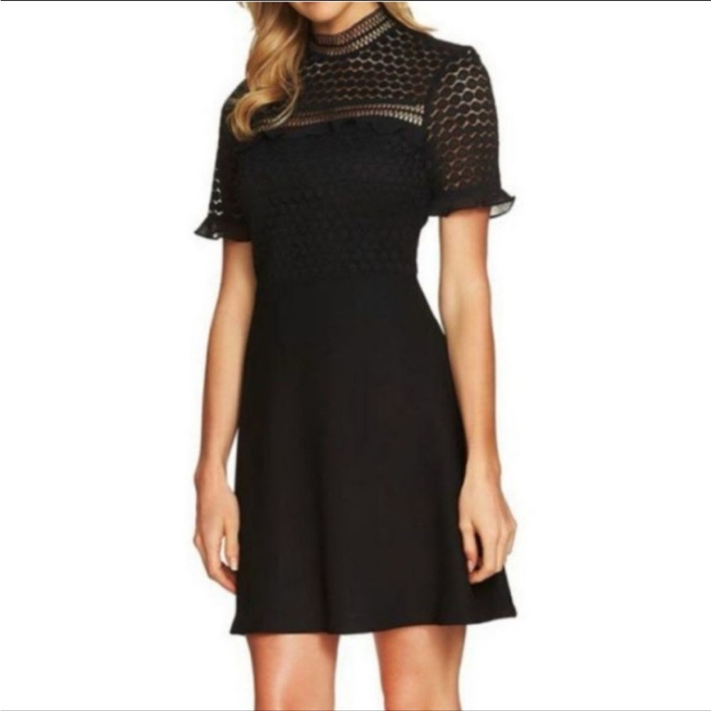 Zara Black Lace Mini Dress